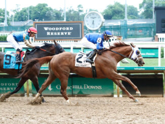 Highland Falls wins the Blame (G3) at Churchill Downs