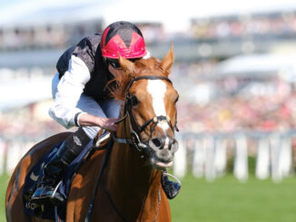 Kyprios winning the 2024 Gold Cup (G1) at Royal Ascot (Photo by Megan Coggin/Ascot Racecourse)