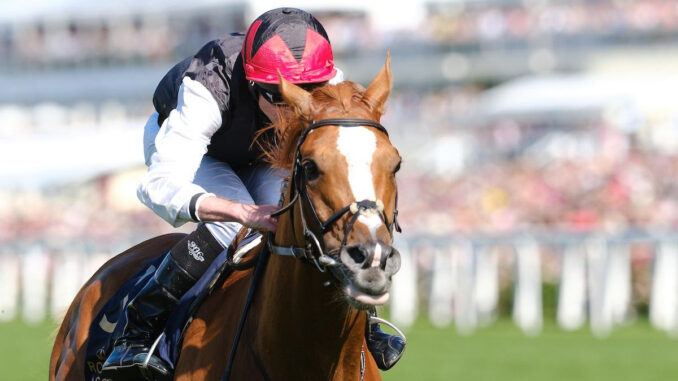 Kyprios winning the 2024 Gold Cup (G1) at Royal Ascot (Photo by Megan Coggin/Ascot Racecourse)