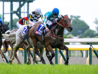 Romantic Warrior with jockey James McDonald wins the Yasuda Kinen