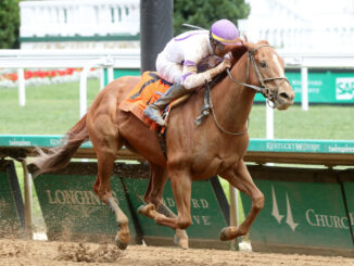 Society Man rallied to his first stakes score in the Matt Winn