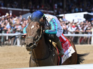 Book'em Danno winning the Woody Stephens (G1) at Saratoga (Photo by Coglianese Photos/Joe Labozzetta)