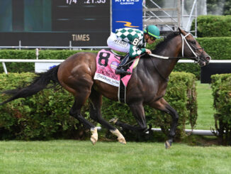 Cogburn winning the Jaipur (G1) at Saratoga (Photo by Coglianese Photos)