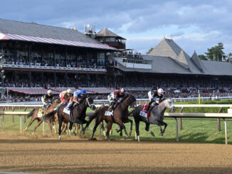 Dornoch wins the Belmont S. (G1) during Belmont at Saratoga.