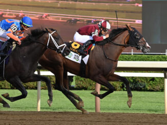 Dornoch wins the Belmont S. (G1) during Belmont at Saratoga.