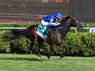 Measured Time winning the Manhattan (G1) at Saratoga (Photo by Coglianese Photos)