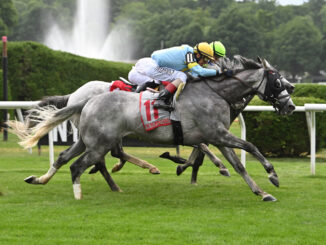 The Grey Wizard wins the Belmont Gold Cup at Belmont at Saratoga