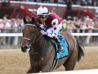 Thorpedo Anna wins The Acorn S. in Belmont at Saratoga