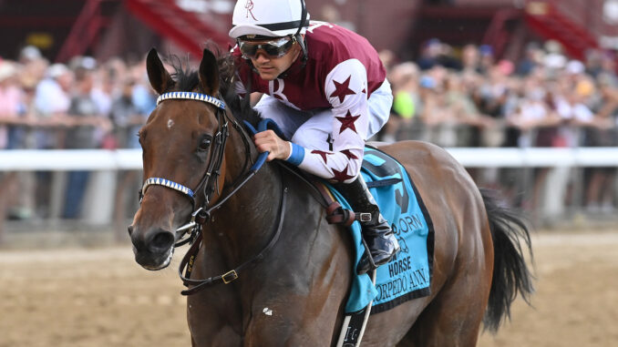 Thorpedo Anna wins The Acorn S. in Belmont at Saratoga