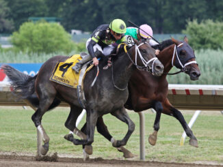 #6 Idiomatic wins Molly Pitcher S. (G3) at Monmouth Park Racetrack