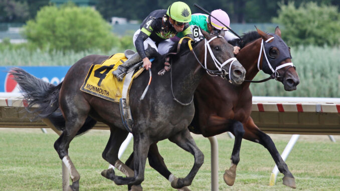 #6 Idiomatic wins Molly Pitcher S. (G3) at Monmouth Park Racetrack