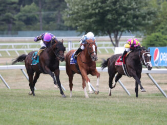 Get Smokin wins a photo finish in the United Nations Stakes (GII) at Monmouth Park