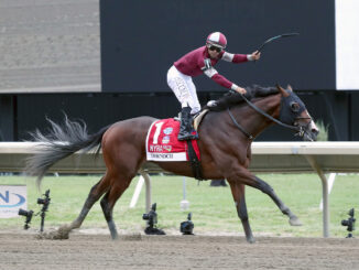 Dornoch captures the Haskell Invitational Stakes (GI) at Monmouth Park