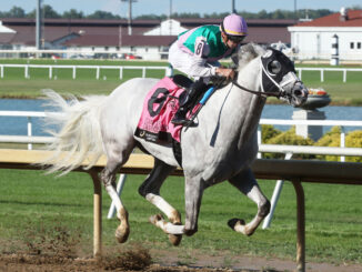 Dragoon Guard wins the Indiana Derby (G3) at Horseshoe Indiana