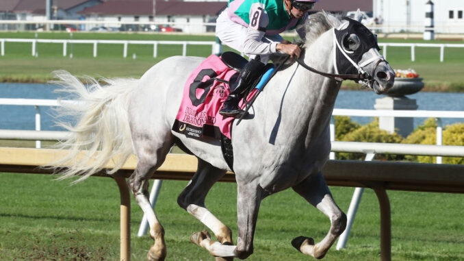 Dragoon Guard wins the Indiana Derby (G3) at Horseshoe Indiana