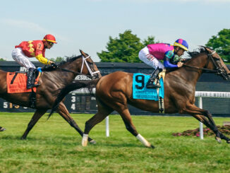 War Like Goddess winning the Robert G. Dick Memorial (G3) at Delaware Park (Photo by Hoofprints, Inc.)