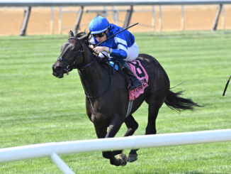 Cinderella's Dream wins the Belmont Oaks