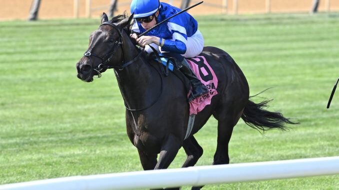 Cinderella's Dream wins the Belmont Oaks