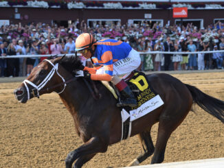 Fierceness wins the Jim Dandy at Saratoga