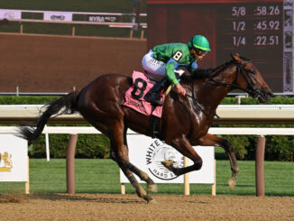 Mo Plex wins the Sanford at Saratoga