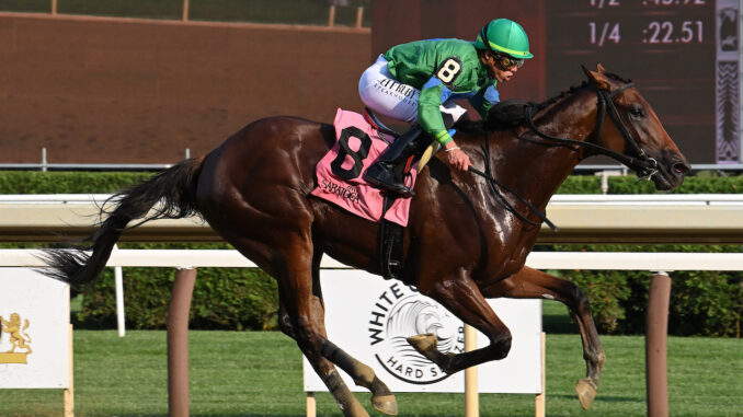 Mo Plex wins the Sanford at Saratoga