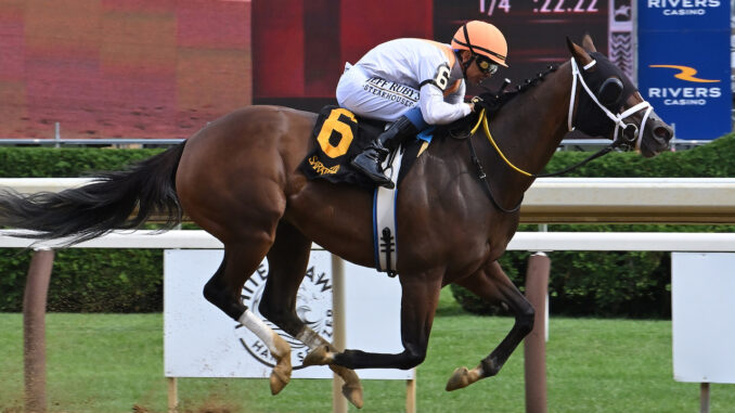 Spirit Wind wins the Honorable Miss at Saratoga