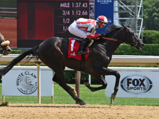 Unmatched Wisdom wins the Curlin