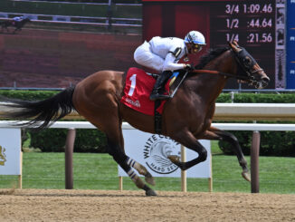 World Record wins The Amsterdam at Saratoga