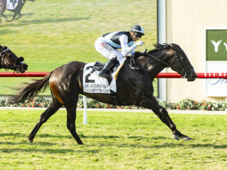 Anisette wins the Yellow Ribbon H. (G2) at Del Mar