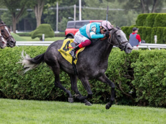 Beaute Cachee wins the Ballston Spa at Saratoga.