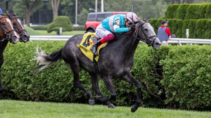 Beaute Cachee wins the Ballston Spa at Saratoga.