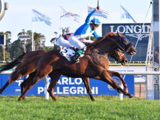 El Encinal captured the prestigious Gran Premio Carlos Pellegrini