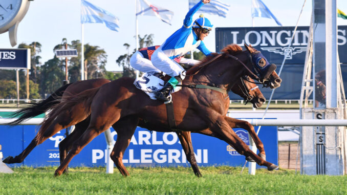 El Encinal captured the prestigious Gran Premio Carlos Pellegrini