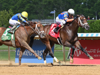 Mentee sets a new track record in his debut win at Aqueduct