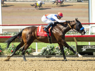 Nooni wins the Sorrento Stakes (G3) at Del Mar.