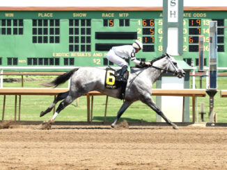 Saudi Crown was comfortably best in the R.A. Cowboy Jones S. at Ellis Park