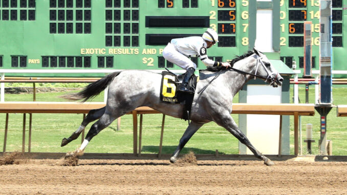 Saudi Crown was comfortably best in the R.A. Cowboy Jones S. at Ellis Park