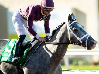 Sweet Azteca enjoyed a Sunday stroll in the Rancho Bernardo H.