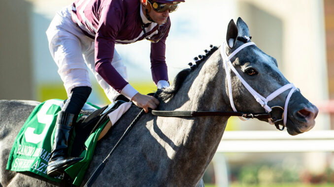 Sweet Azteca enjoyed a Sunday stroll in the Rancho Bernardo H.