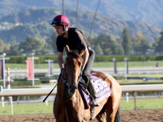 Content shown training for the 2023 Breeders' Cup at Santa Anita