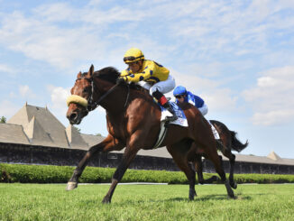 Far Bridge wins the Sword Dancer S. (G1) at Saratoga