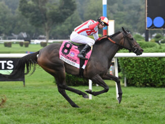 Idea Generation wins the Flower Bowl at Saratoga