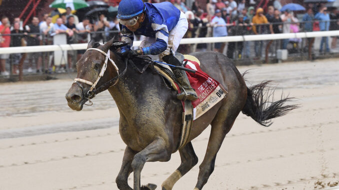 Immersive wins the Spinaway at Saratoga