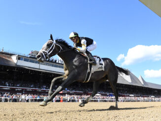 Showcase wins the Saratoga Special at Saratoga