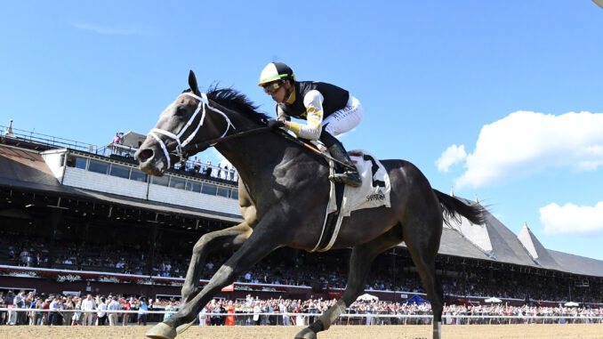 Showcase wins the Saratoga Special at Saratoga