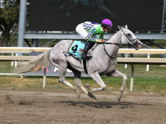 Next wins the Greenwood Cup (G3) at Parx Racing.