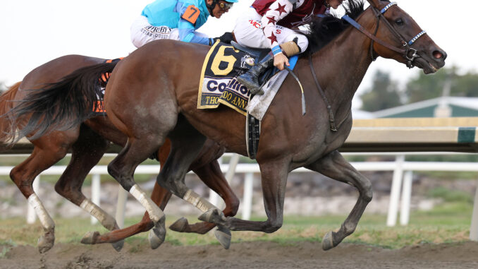 Thorpedo Anna wins the $1,000,000 Cotillion S. (G1) at Parx Racing