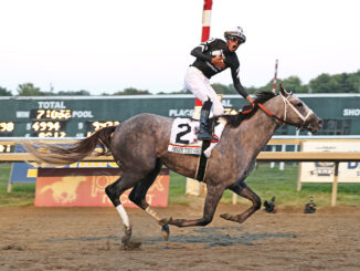 Seize the Grey wins the $1,000,000 Pennsylvania Derby (G1) at Parx Racing.