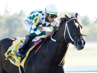 Cogburn wins the Ainsworth Turf Sprint (G2)