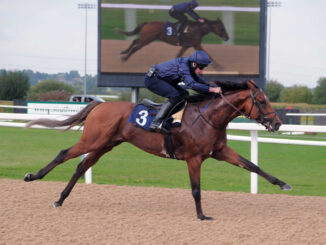 City of Troy in full flight in his Southwell workout in company